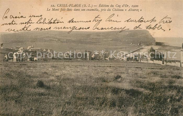 Criel Plage Panorama