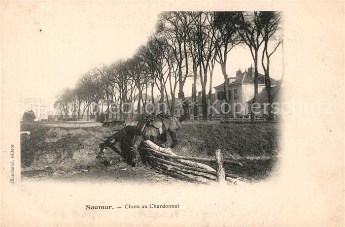 Saumur Chute au Chardonnet