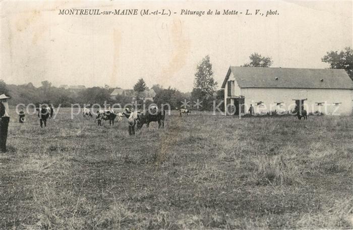 Montreuil-sur-Maine Paturage de la Motte