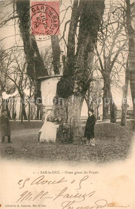 Bar-le-Duc Orme geant du Paquis
