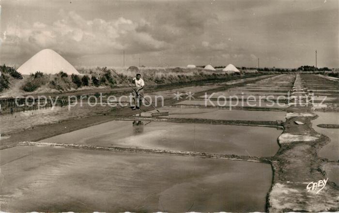 Ile-de-Re Les Marais Salants