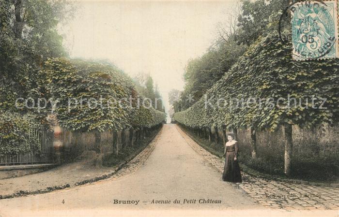 Brunoy Avenue du Petit Chateau