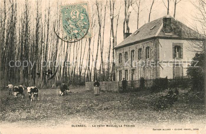 Blennes Petit Moulin Prairie