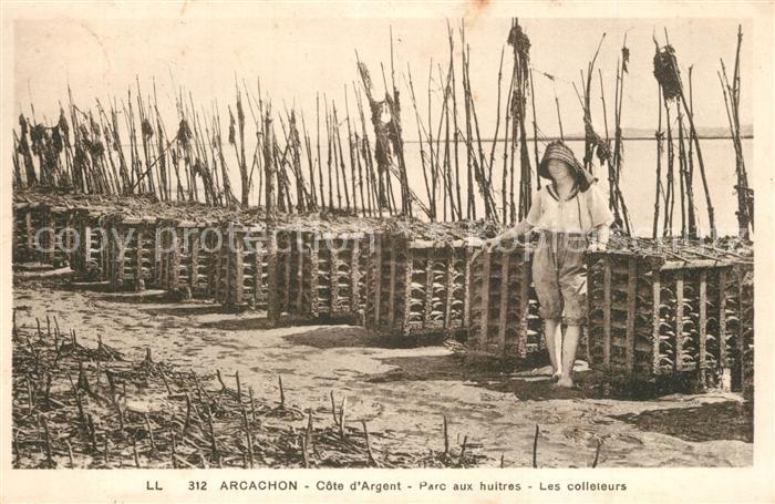 Arcachon Gironde Parc aux Huitres Colleteurs