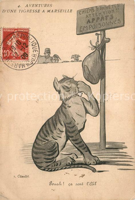Marseille Bouches-du-Rhone Aventures d une Tigresse Chiens honnetes attention ap