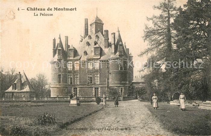 Montmort-Lucy Chateau de Montmort Pelouse