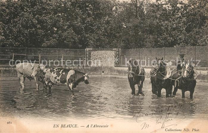Beville-le-Comte A l'abreuvoir