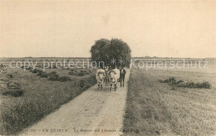 Sours Retour des champs Feldarbeit Heuernte Ochsenkarren
