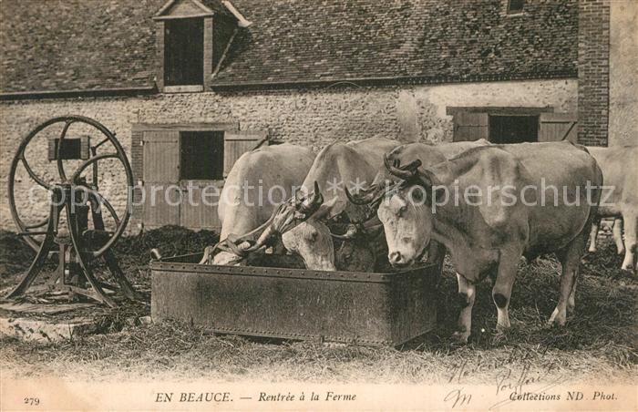 Sours Rentrée a la ferme