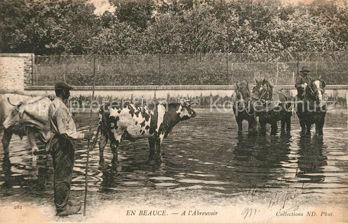 Beville-le-Comte A l'abreuvoir