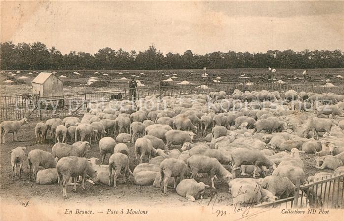 Moutiers Chartres Parc a moutons