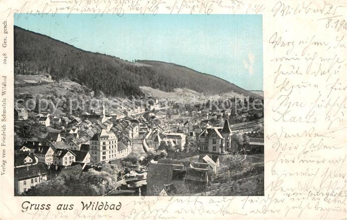 Bad Wildbad Stadtpanorama