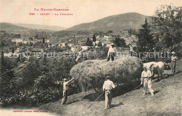 Aspet La fenaison Heuernte Landwirtschaft
