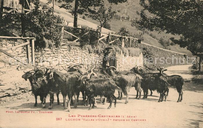 Luchon Haute-Garonne Retour du Chevrier