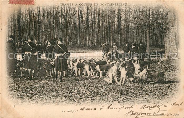 Fontainebleau Seine et Marne Casses a Courre Le Rapport