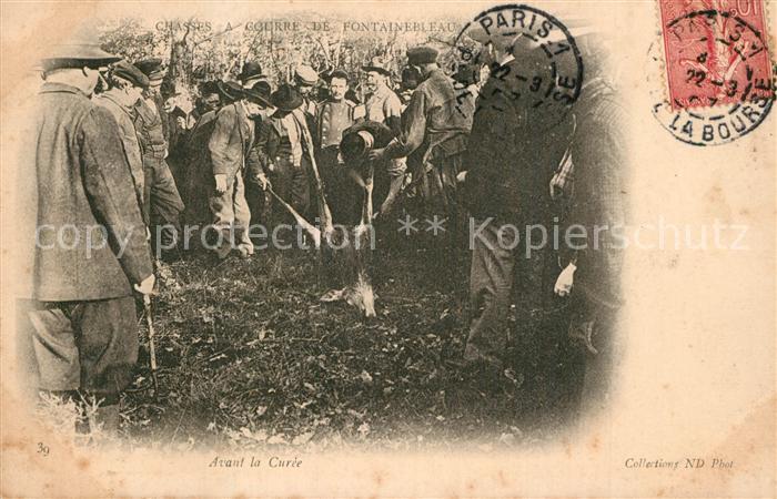 Fontainebleau Seine et Marne Chasses a Courre Avant la Curee