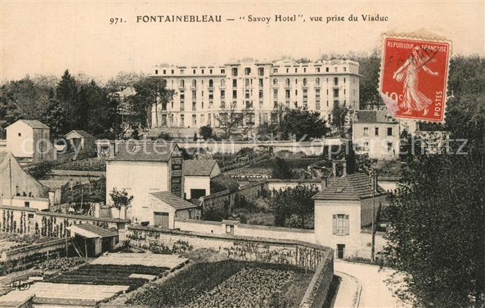 Fontainebleau Seine et Marne Savoy Hotel vue prise du Viaduc