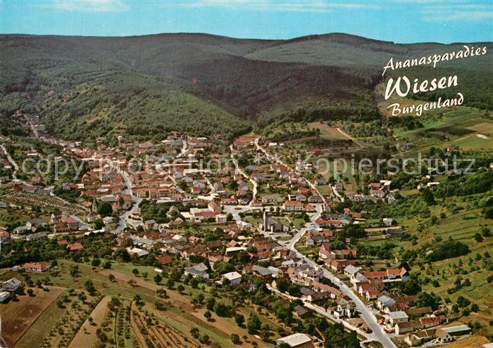 Wiesen Burgenland Fliegeraufnahme Ananasparadies