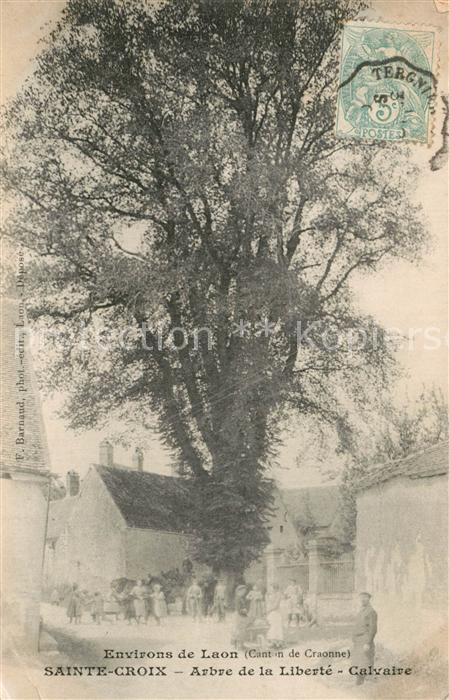 Sainte-Croix-en-Plaine Arbre de la Libert