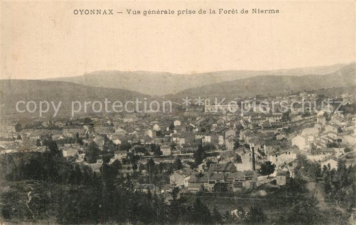 Oyonnax Vue generale prise de la Foret de Nierme