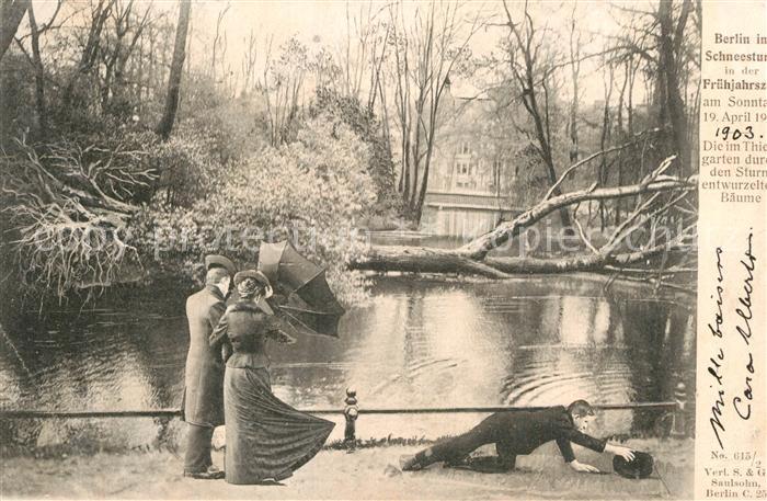 Berlin Entwurzelte Baeume im Thiergarten