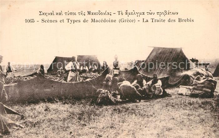 Mazedonien Scenes et Types de Macedoine la Traite des Brebis