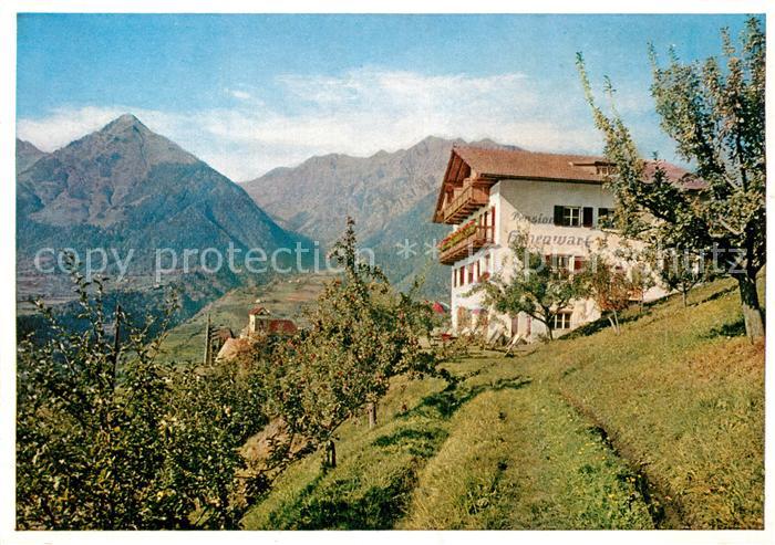 Schenna Meran Pension Cafe Hohenwart