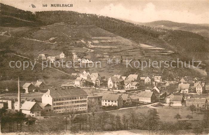 Muhlbach-sur-Munster Panorama