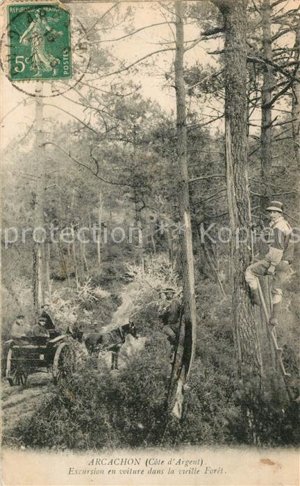 Arcachon Gironde Excursion en voiture dans la vieille fo
