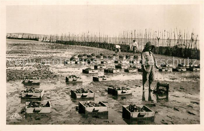 Arcachon Gironde Parc a huîtres Les Collecteurs La Récolte
