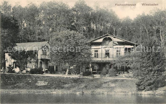 Wiesbaden Fischzuchtanstalt