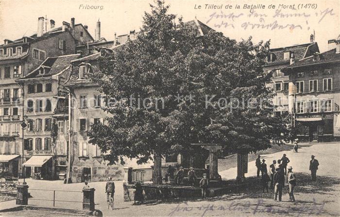 Fribourg FR Le Tilleul de la Bataille de Morat