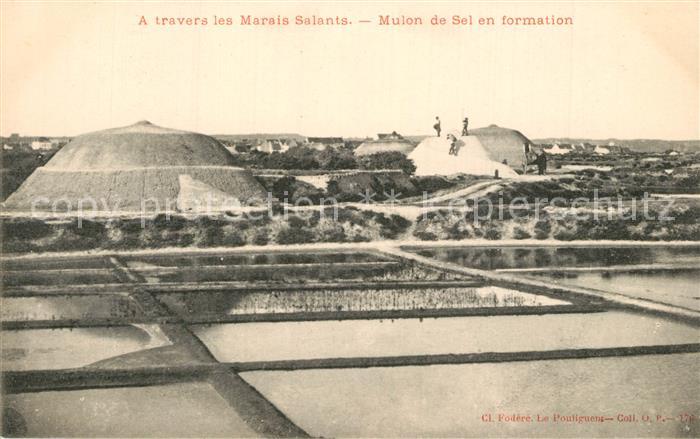 Ile de Noirmoutier Marais Salants