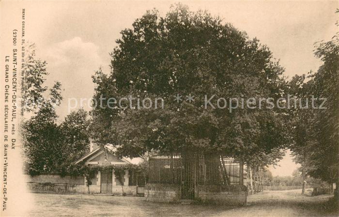 Saint-Vincent-de-Paul Landes Grand chène séculaire