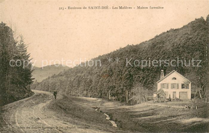 Saint-Die-des-Vosges Les Molières Maison forestière