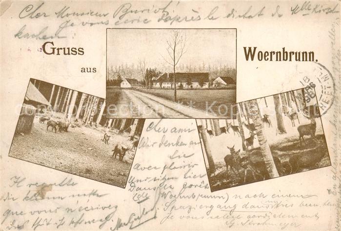 Woernbrunn Muenchen Teilansichten Wildgehege