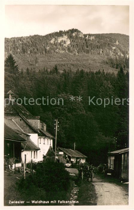 Zwieslerwaldhaus Falkenstein