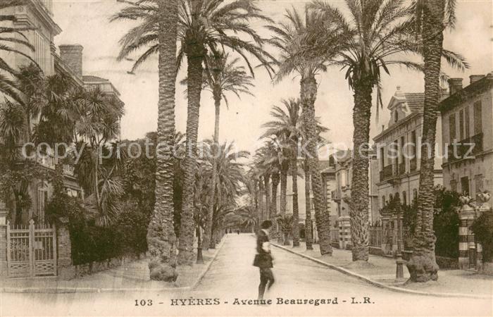 Hyeres les Palmiers Avenue Beauregard