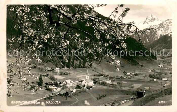 Gaschurn Vorarlberg Panorama Blick ins Tal mit Valluela Alpen Baumbluete