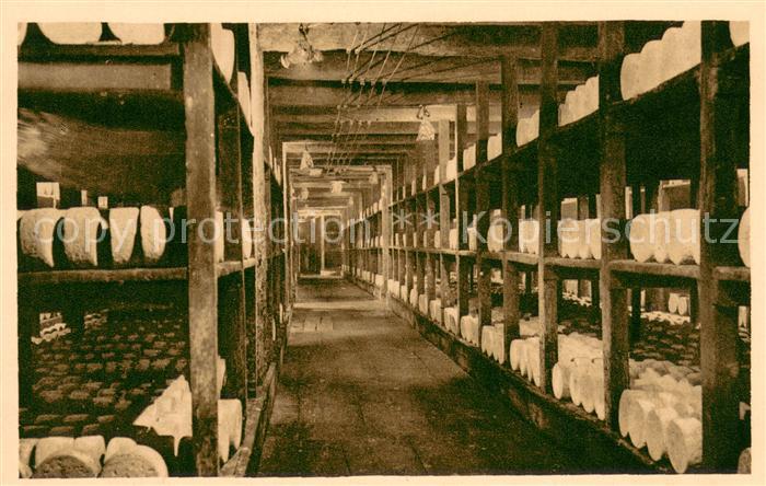 Roquefort-sur-Soulzon Caves de la Rue Une allée Société des Caves