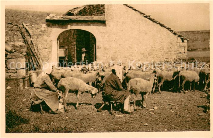 Roquefort-sur-Soulzon Ferme sur les Causses