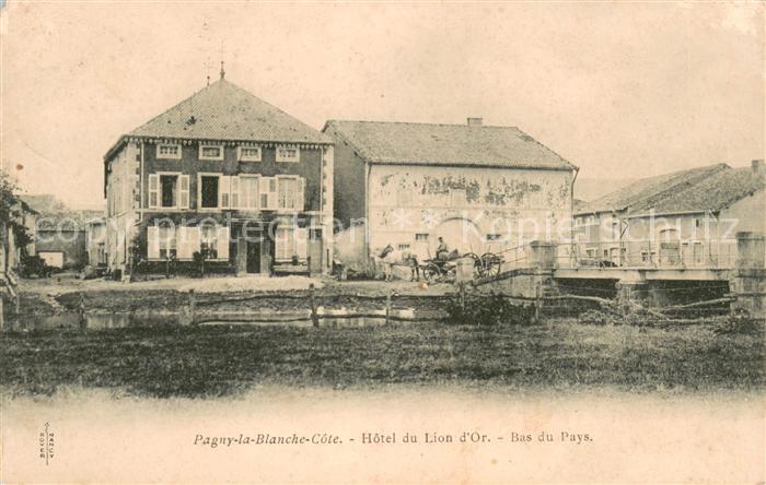 Pagny-la-Blanche-Cote Hôtel du Lion d Or Bas du Pays