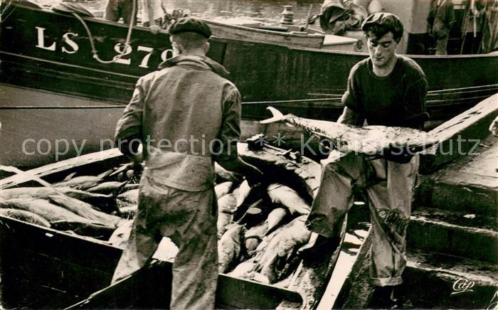 Saint-Jean-de-Luz Débarquement du Thon