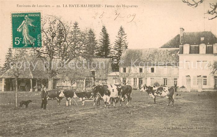 La Haye-Malherbe Ferme des Hoguettes des vaches