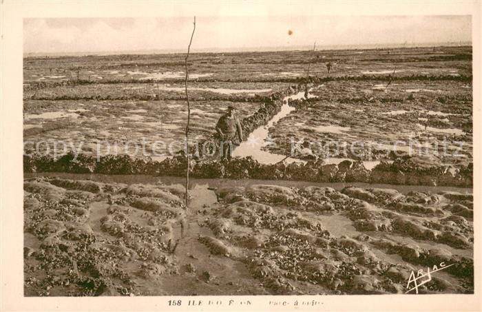 Saint Pierre d Oleron Parc aux huîtres
