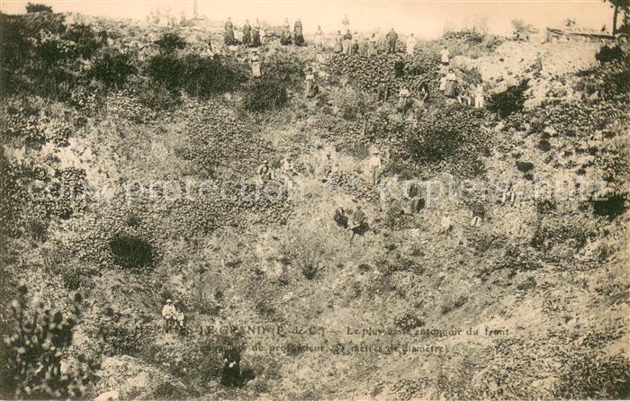 Hermies Le plus vaste entonnoir du front