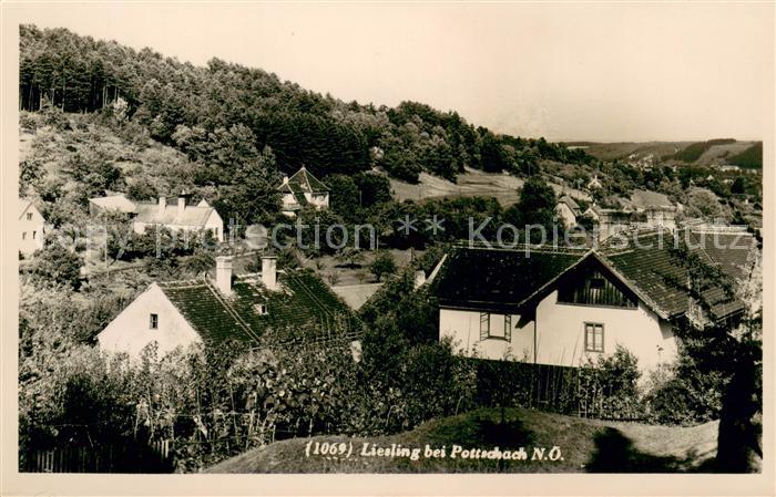 Pottschach Liesling Panorama