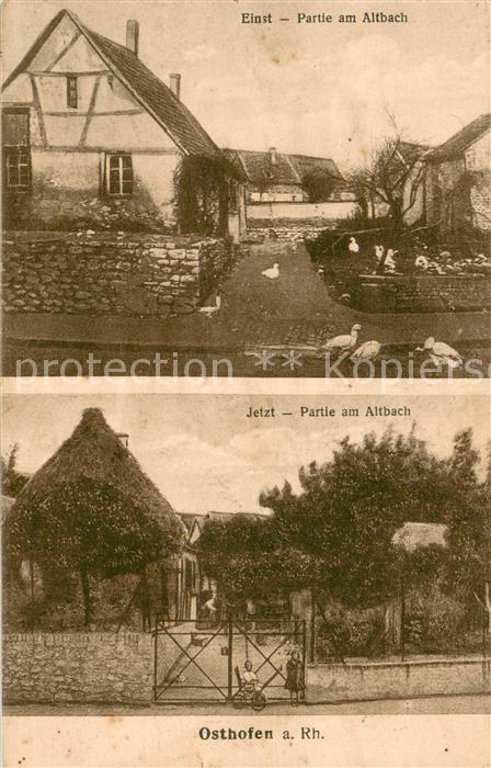 Osthofen Rheinhessen Partie am Altbach einst und jetzt