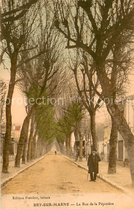 Bry-sur-Marne La Rue de la Pepiniere