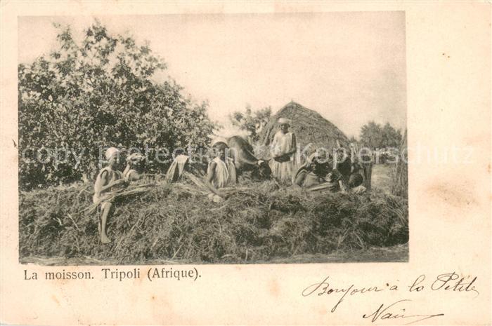 Tripolis Libyen La moisson